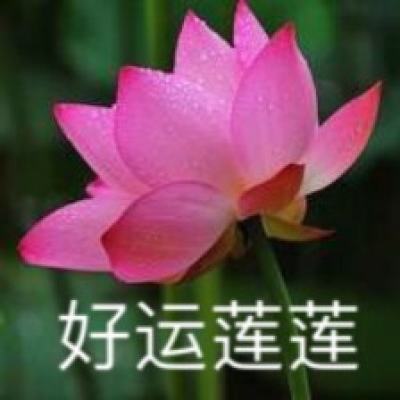 澳门特区政府强烈反对台湾当局诋毁抹黑澳门